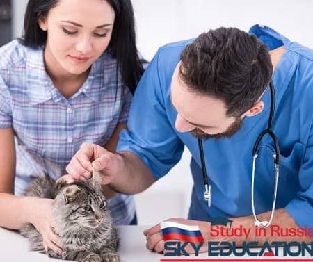Veterinary Medicine Education in Russia www.eduruss.com 1