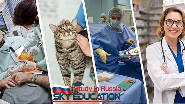 Health Program in Russia www.eduruss.com 1